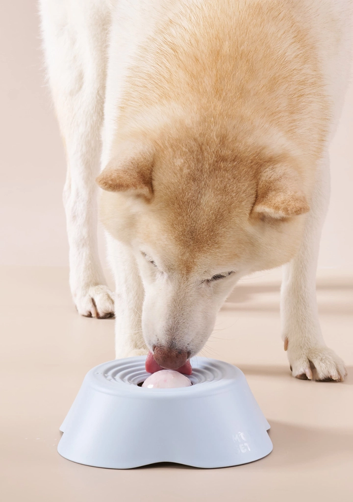 Dog enjoying a frozen treat from Morsetto