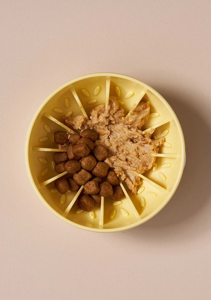 Soft food and kibble arranged in the slow-feeder bowl