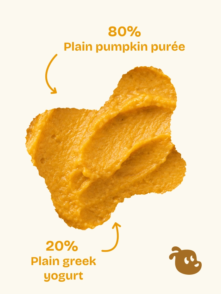 Golden Spoon Spread made with plain pumpkin puree and plain Greek yogurt